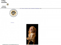 Tolling-sunshine.de