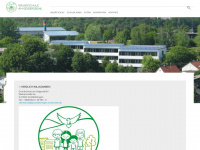 schule-grossbettlingen.de Webseite Vorschau