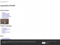 solothurn.ch Webseite Vorschau