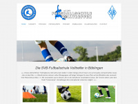 fussballschule-volltreffer.de Webseite Vorschau