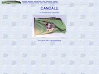 cancale-cancavene.de Thumbnail