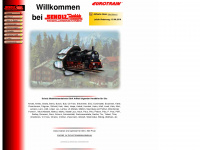 modellbahn-scholz.de Webseite Vorschau