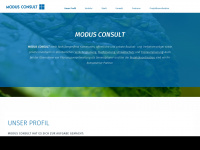 modusconsult.net Webseite Vorschau