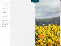 valdesqui.es Webseite Vorschau