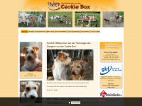 cookie-box.de Webseite Vorschau