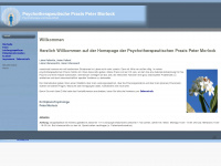 morlock-psychotherapie.de
