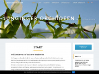 junginger-orchideen.de Webseite Vorschau