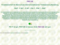 pinit.de Webseite Vorschau