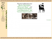 pferd-und-hund.de Webseite Vorschau