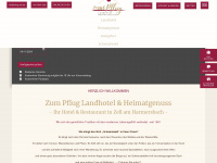 pflug-zell.de Webseite Vorschau