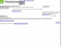 pforzheimer.de Webseite Vorschau