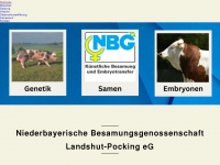 nbg-landshut.de Webseite Vorschau