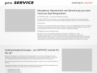 pro-service-dienstleistungen.de Webseite Vorschau