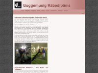 raebi.ch Webseite Vorschau
