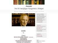 tuengerthal-online.de Webseite Vorschau