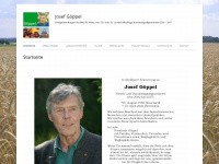 goeppel.de Webseite Vorschau