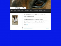 psk-sha.de Webseite Vorschau