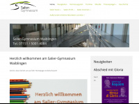 salier-wn.de Webseite Vorschau
