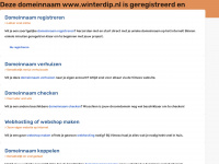 winterdip.nl Webseite Vorschau