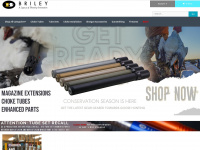 briley.com Webseite Vorschau