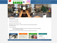 schuhhaus-scheu.de Webseite Vorschau