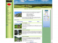 schwarzwaldverein-loeffingen.de Webseite Vorschau