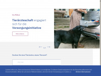 gstsvs.ch Webseite Vorschau