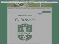 sv-babstadt.de Webseite Vorschau