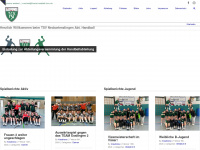 handball-neckartenzlingen.de Webseite Vorschau