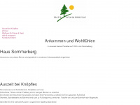 sommerberg.com Webseite Vorschau