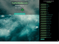 trafficmedia.com