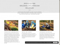 pforzheimer-waldkindergarten.de Webseite Vorschau