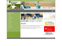 frommern-handball.de Webseite Vorschau