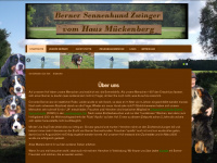 haus-mueckenberg.de Webseite Vorschau