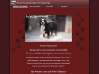 berner-sennenhund-vom-hainichtal.de Webseite Vorschau