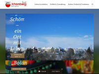 stadt-schoemberg.de Webseite Vorschau