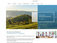 stehle-partner.com Webseite Vorschau