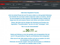 hauptkerle.info Webseite Vorschau