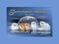 sunnybeach.de Webseite Vorschau