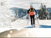 skibus-hallole.de Webseite Vorschau