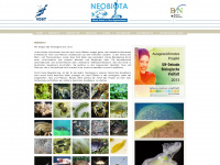 neobiota.info Webseite Vorschau
