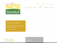 steinhof-birk.de Webseite Vorschau