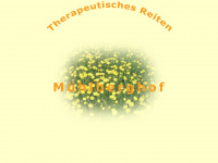 therapeutisches-reiten-muehlberghof.de