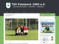 tsv-palmbach.de