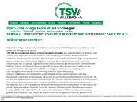tsv-willsbach.de Webseite Vorschau