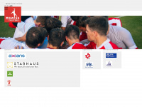 swissfaustball.ch Webseite Vorschau