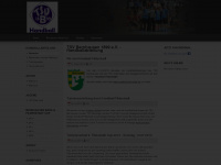 bernhausen-handball.de Webseite Vorschau