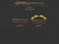 witzemann.de Webseite Vorschau