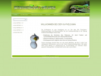 ig-phelsuma.de Webseite Vorschau