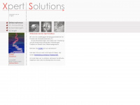xpert-solutions.de Webseite Vorschau